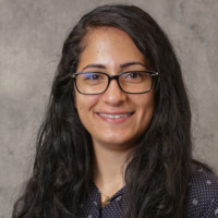 Dr. Assal  Aslani