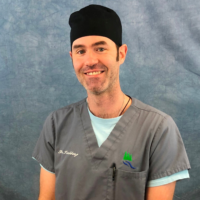 Dr. Michael M Talberg