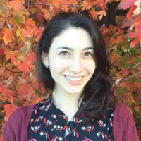 Dr. Marissa L Schwartz