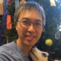 Dr. Arthur A Lew