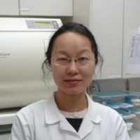 Dr. Qiujing  Song