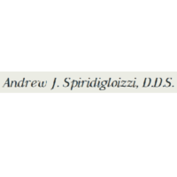 Dr. Andrew  Spiridigloizzi