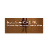 Dr. Scott  Amer
