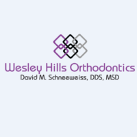 Dr. David M Schneeweiss