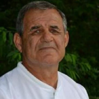 Dr. Jeff  Collins