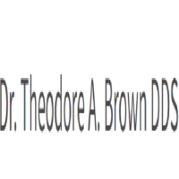 Dr. Theodore A Brown