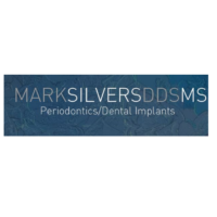 Dr. Mark J Silvers