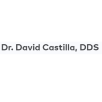Dr. David  Castilla