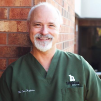 Dr. Eric  Hopkins
