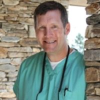 Dr. David L Morgan