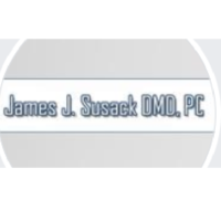 Dr. James J Susack