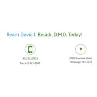 Dr. David J Belack