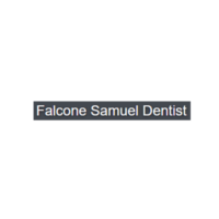 Dr. Dr.Samuel A Falcone