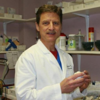 Dr. Stephen P Schoen