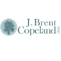 Dr. James Brent Copeland