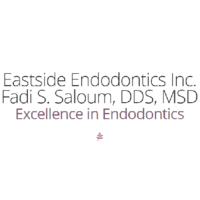 Dr. Fadi S Saloum
