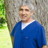 Dr. Roberto V Pischek