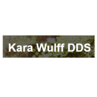 Dr. Kara  Wulff