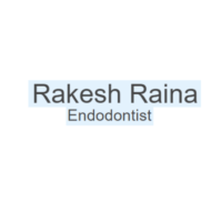 Dr. Rakesh  Raina