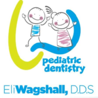 Dr. Elimelech Abraham Wagshall