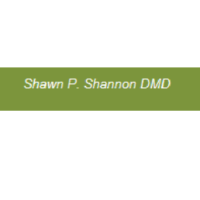 Dr. Shawn P Shannon