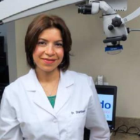 Dr. Sara  Shambayati