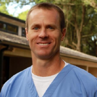 Dr. Stephen B Newsome