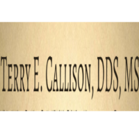 Dr. Terry E Callison