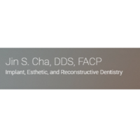 Dr. Jin S Cha