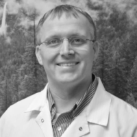 Dr. Mark A Stewart