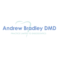 Dr. Andrew Mark Bradley