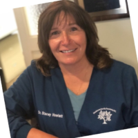 Dr. Stacey M Howlett