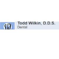 Dr. Todd  Wilkin