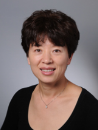 Dr. Hongli  Wang