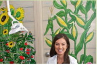 Dr. Christy Lynn Haffner