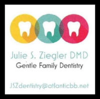 Dr. Julie S Ziegler