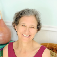 Dr. Julie M McCarron