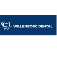 Dr. Stephen M Willenborg
