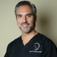 Dr. David  Salehani