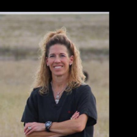 Dr. Tracy Rene Henson-McBee