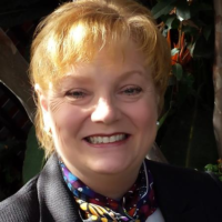 Dr. Diane E Casey