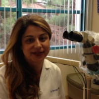 Dr. Behnaz  Cheikh
