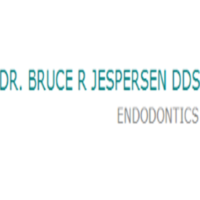 Dr. Bruce  Jespersen