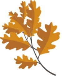 Dr. Avneet  Dhaliwal